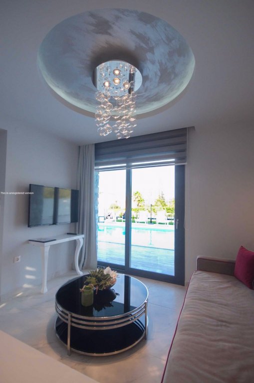 White Pearl: pfoto 43412